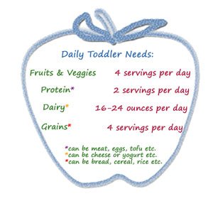 Daily Toddler Food Requirements